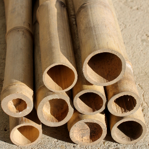 Canne di bambu': diam. 08+ cm