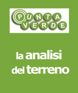 analisi terreno bambuseto produttivo