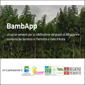 bambapp un social network per la diffusione dei bambu in piemonte