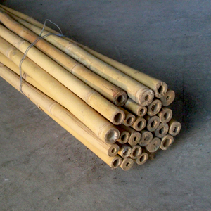 Canne di bambu': diam. 03/+ cm - Madeinbamboo