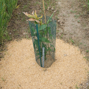 Protezioni tubolari SHELTER 300 in rete tubolare verde, diametro 30 cm, altezza 50 cm o in rotolo da 100 metri lineari