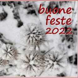 auguri 2022